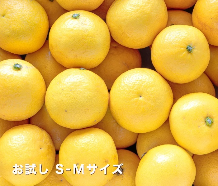 お試しイメージ