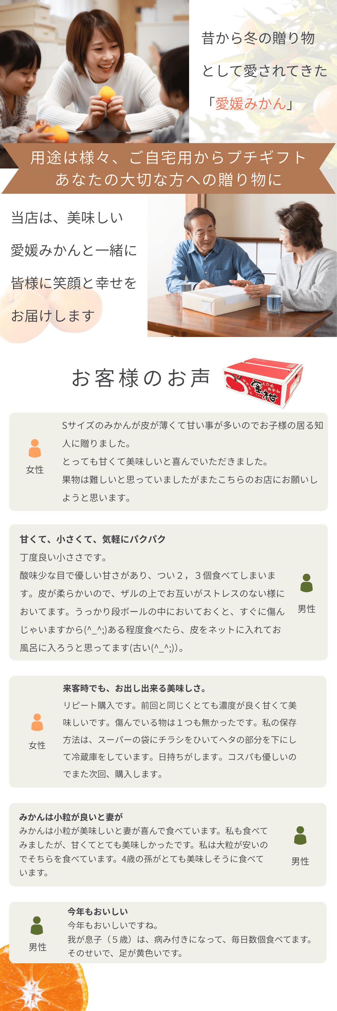 柑橘王国・愛媛県西宇和地方より産地直送！お試しみかんのご予約受付中