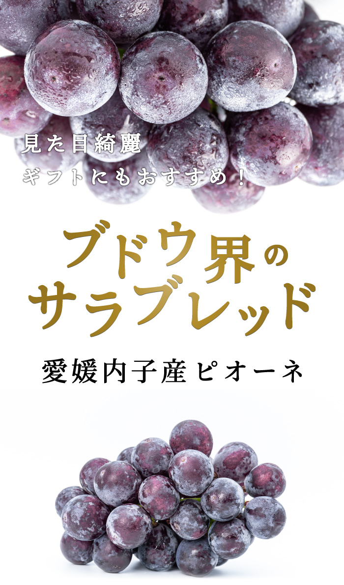 愛媛県内子産ピオーネ