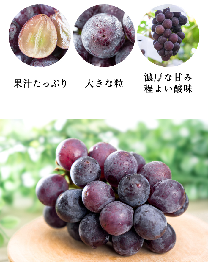 ピオーネ