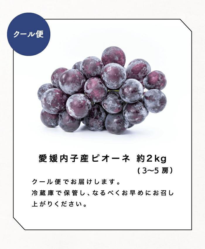 商品ラインナップ
