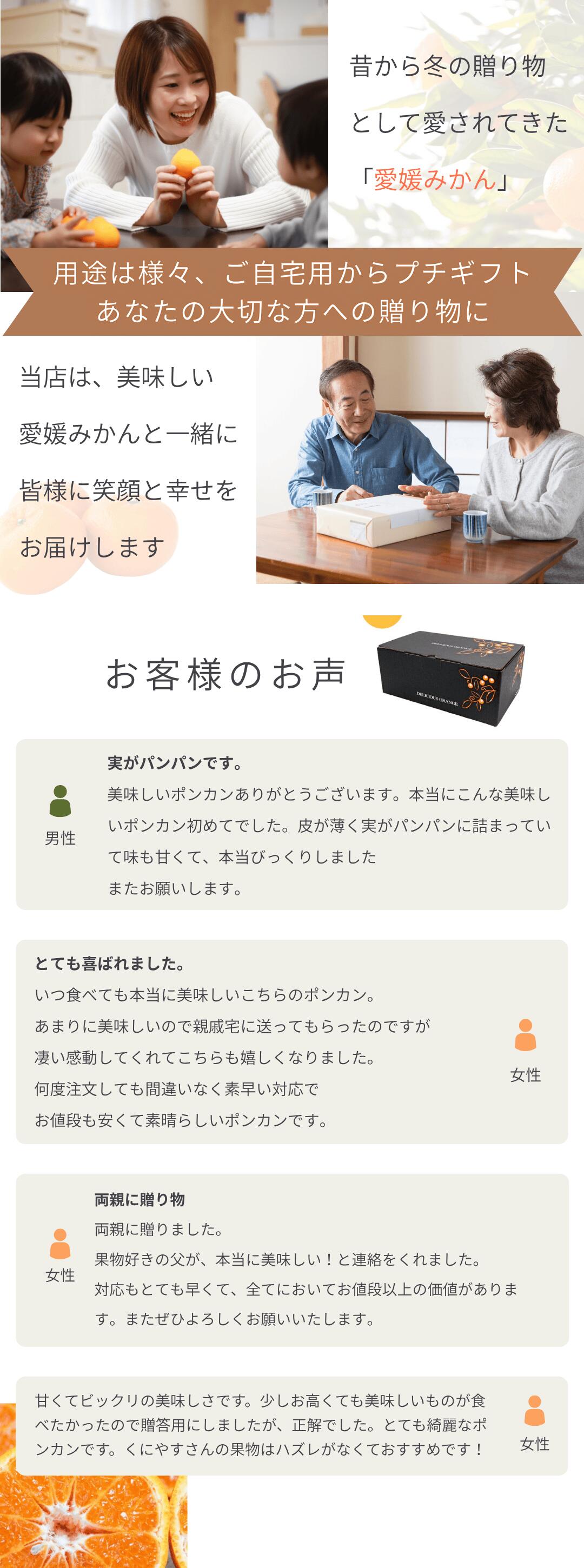 柑橘王国・愛媛県から産地直送！豊かな香りとしっかりとした甘みが特徴