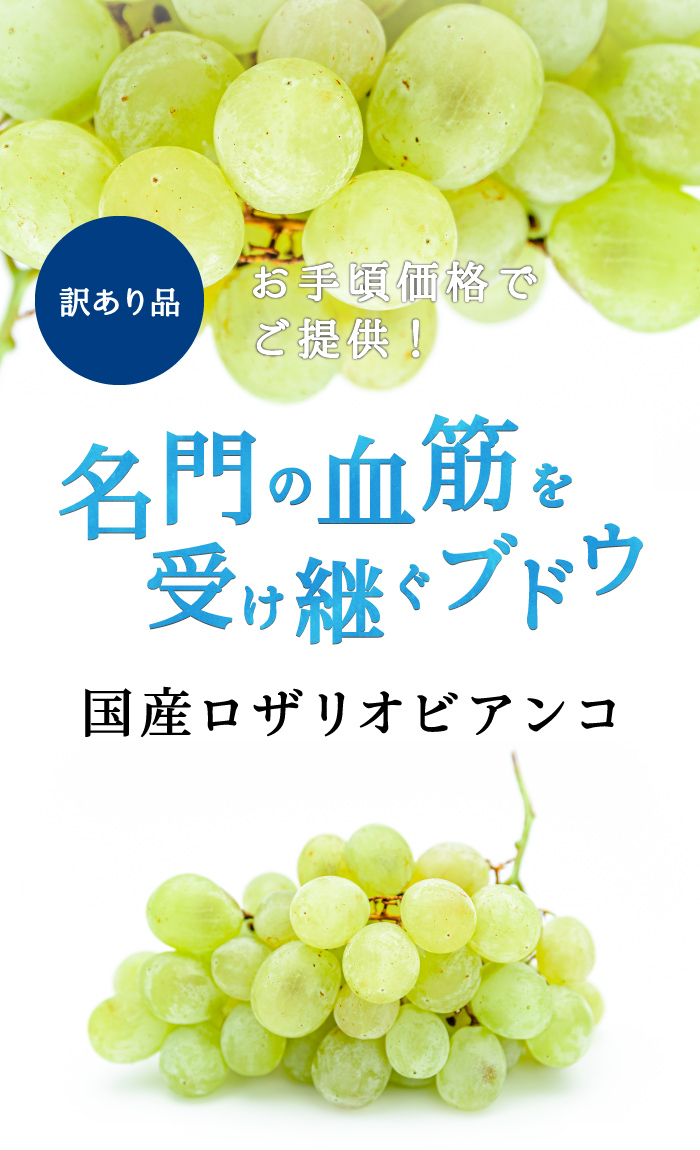 タイトル