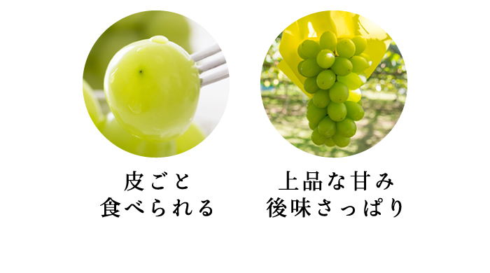 ロザリオビアンコ