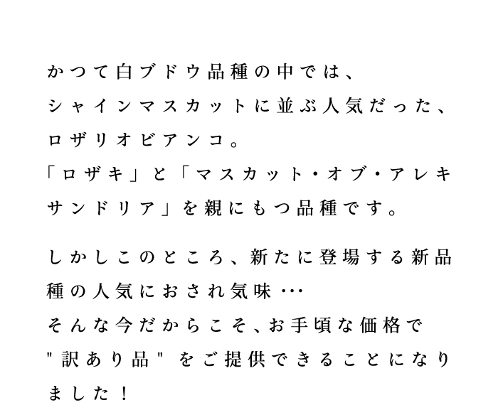 説明