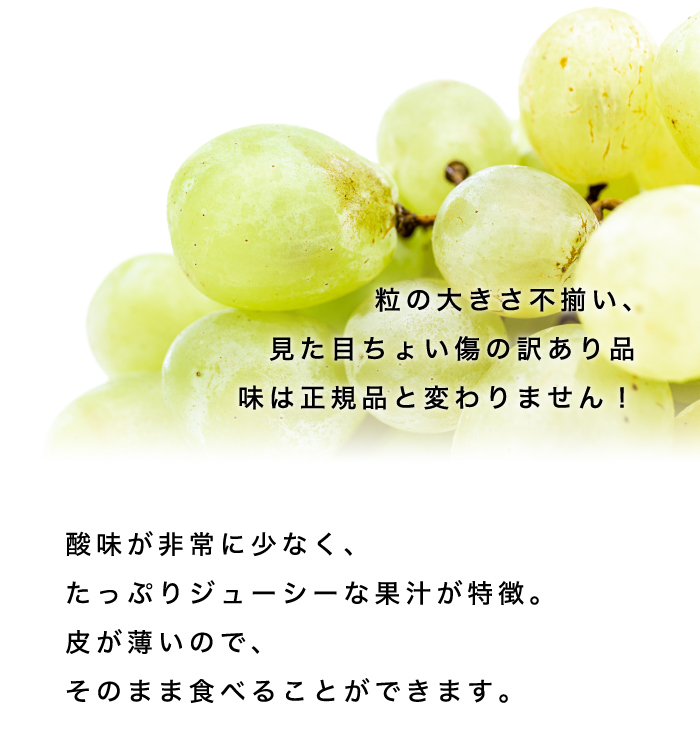 訳あり