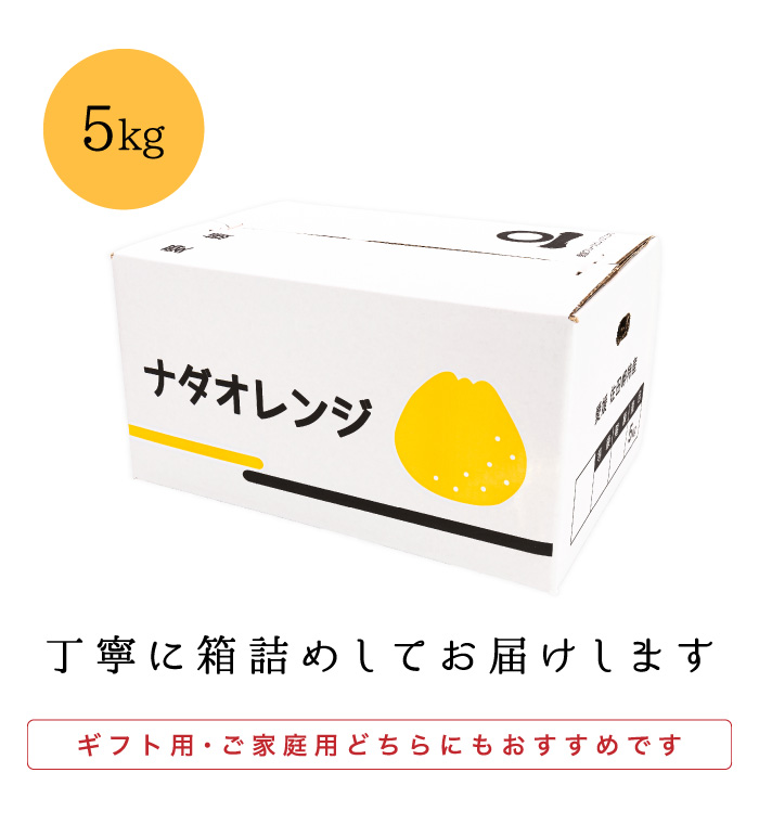 梱包