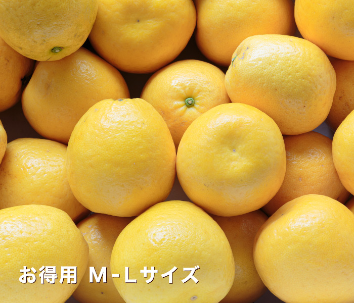 お得用イメージ