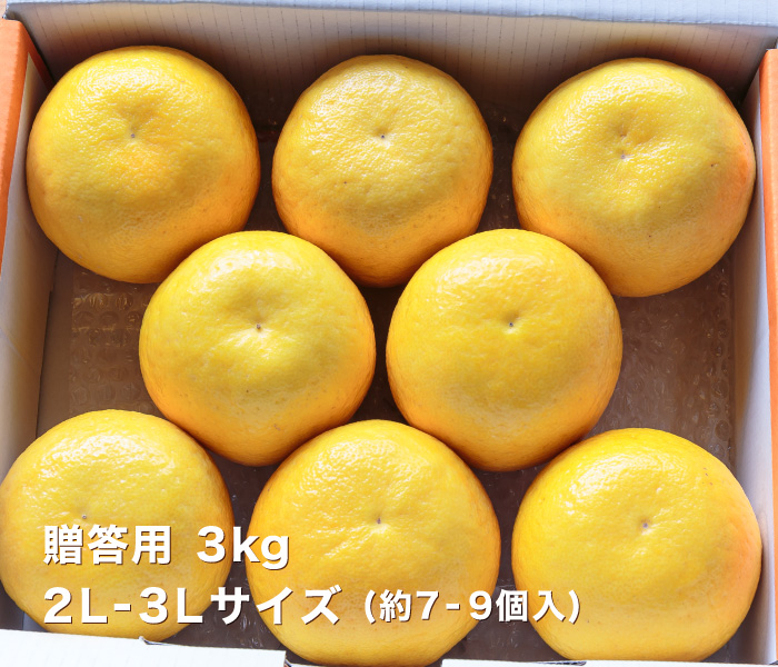 贈答用3kgイメージ