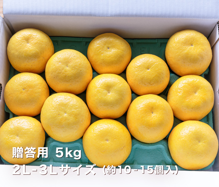 贈答用5kgイメージ