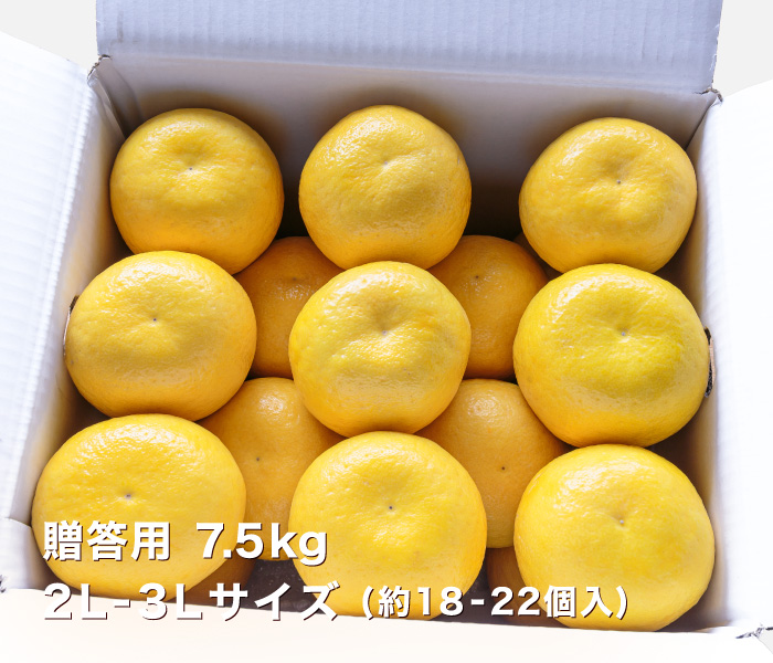 贈答用7.5kgイメージ