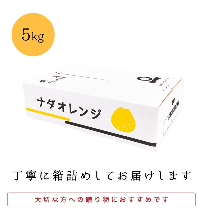 梱包