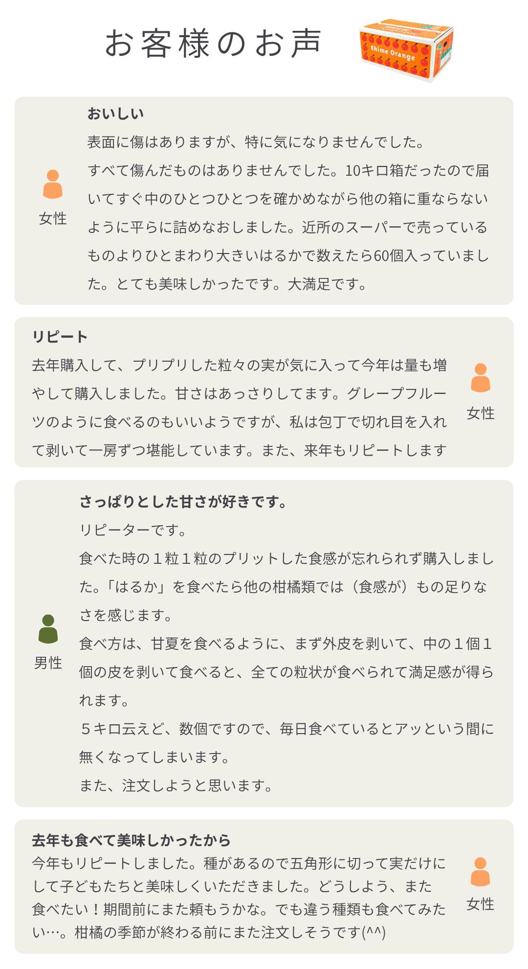 口コミ