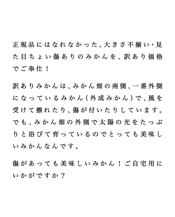 訳ありみかんについて