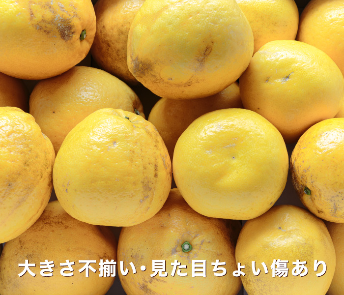訳ありイメージ