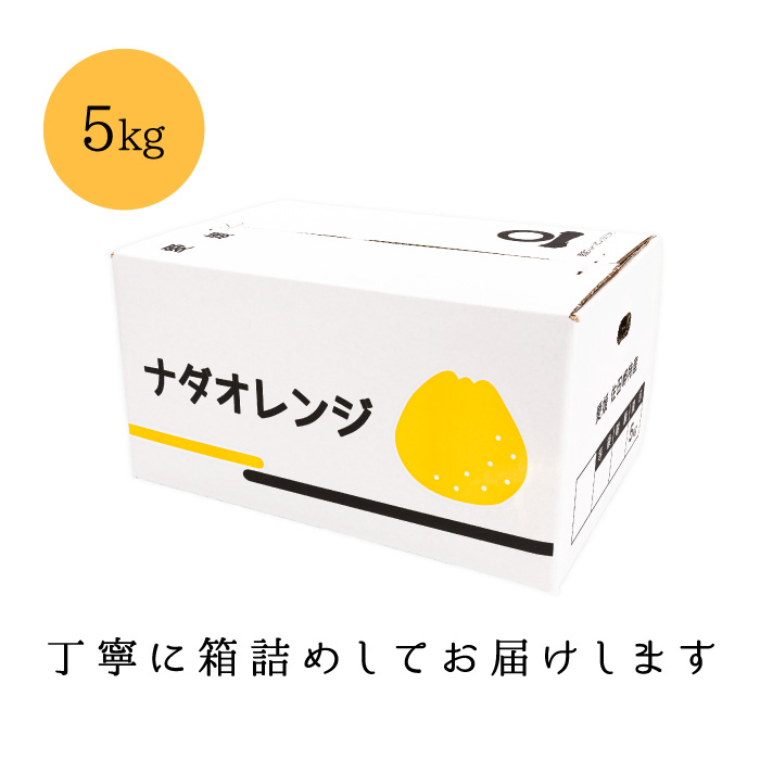 箱