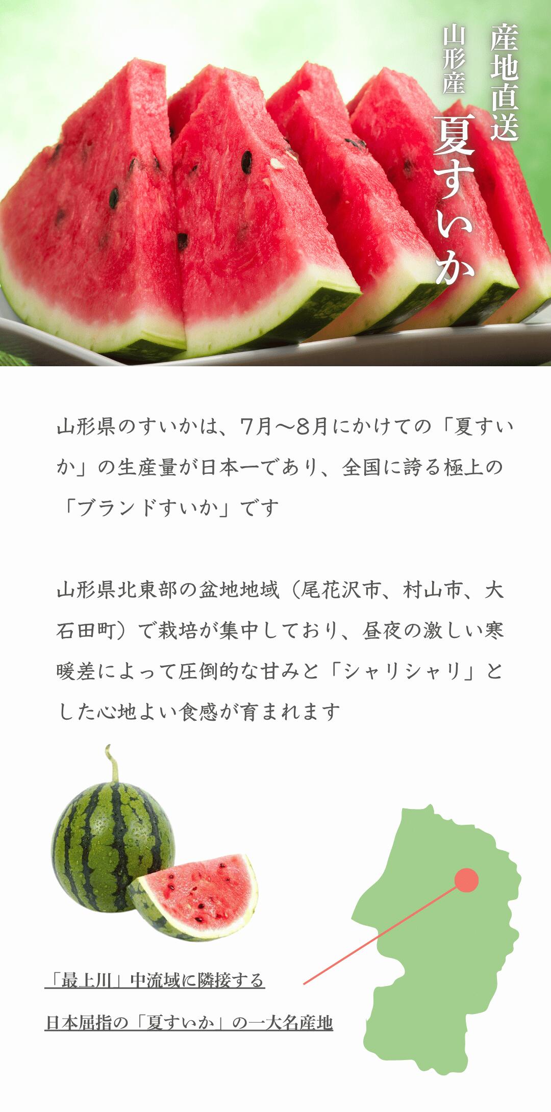 生産量全国1位！山形産夏すいか