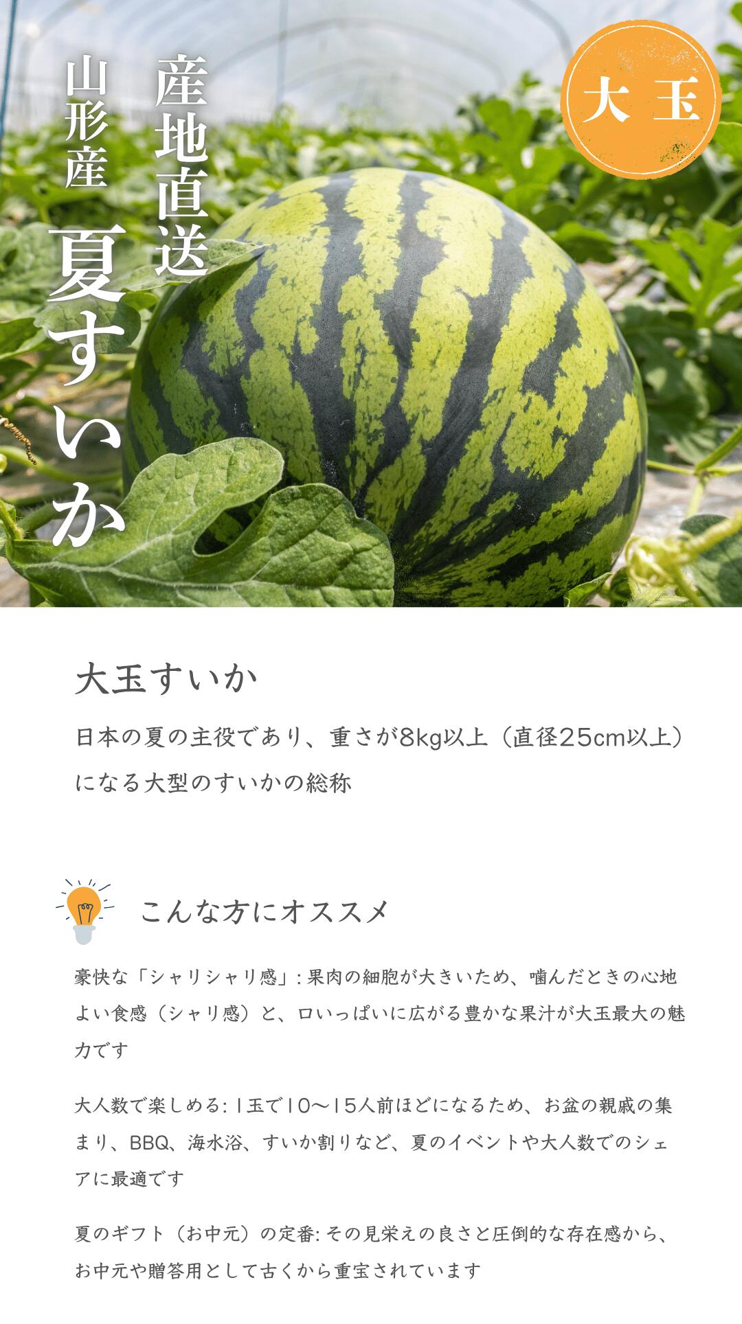 大玉すいかについて