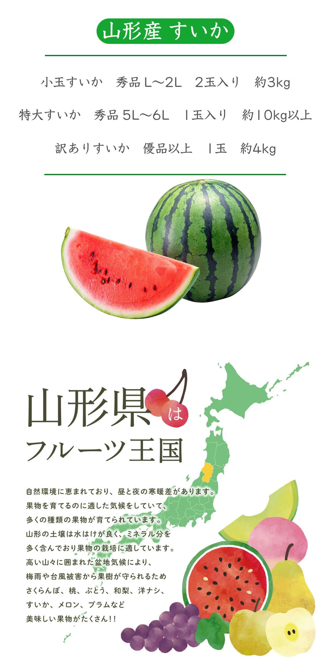 商品ラインナップ