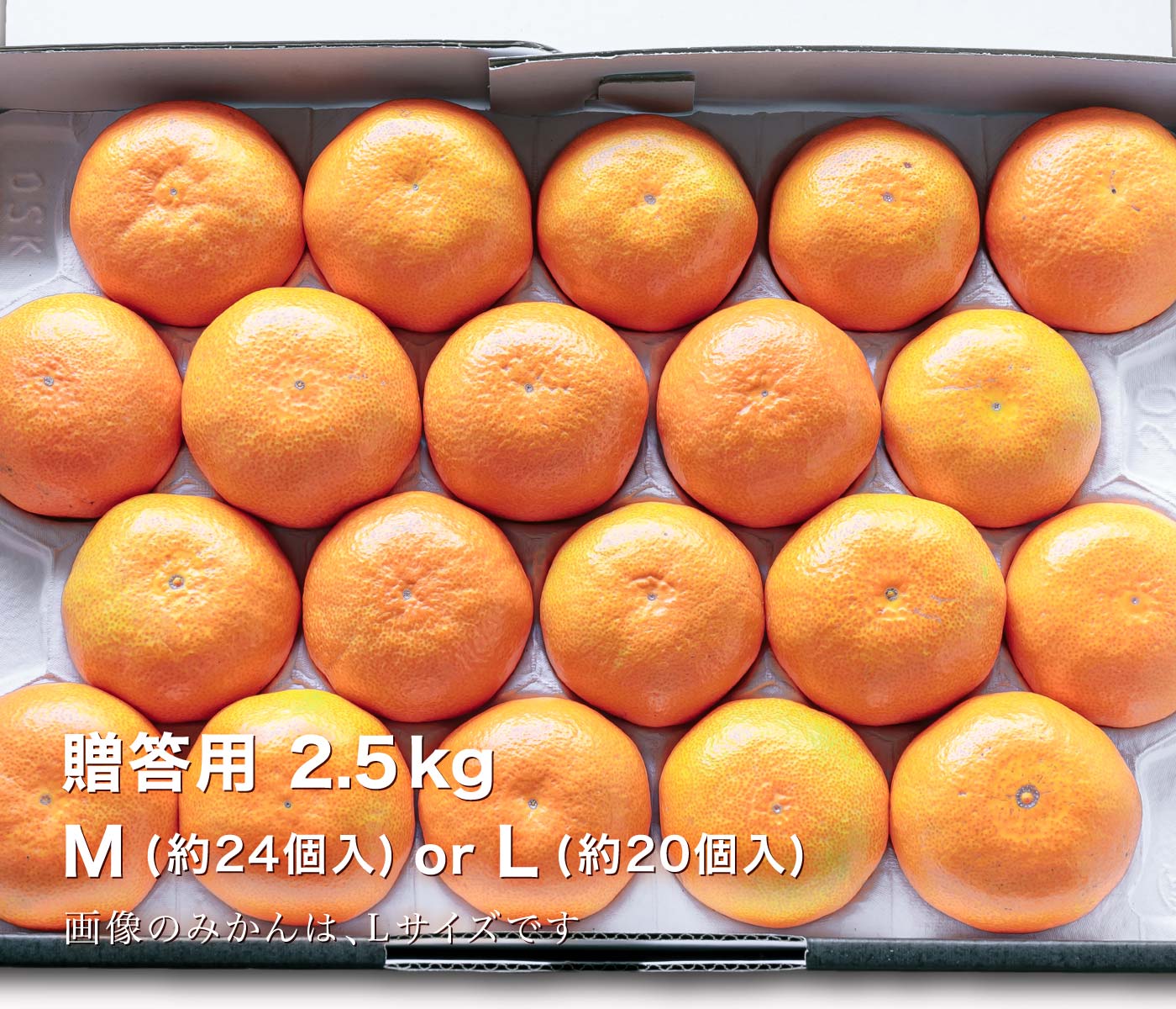 贈答用極早生みかん