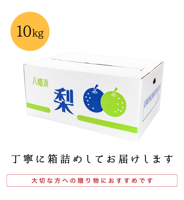 果汁たっぷり！ジューシーで爽やかな甘みの豊水梨が登場。愛媛県西宇和