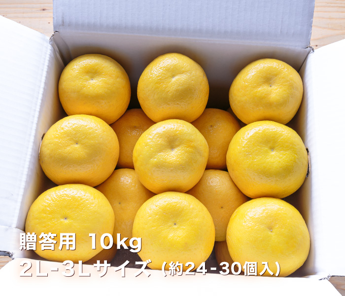 贈答イメージ
