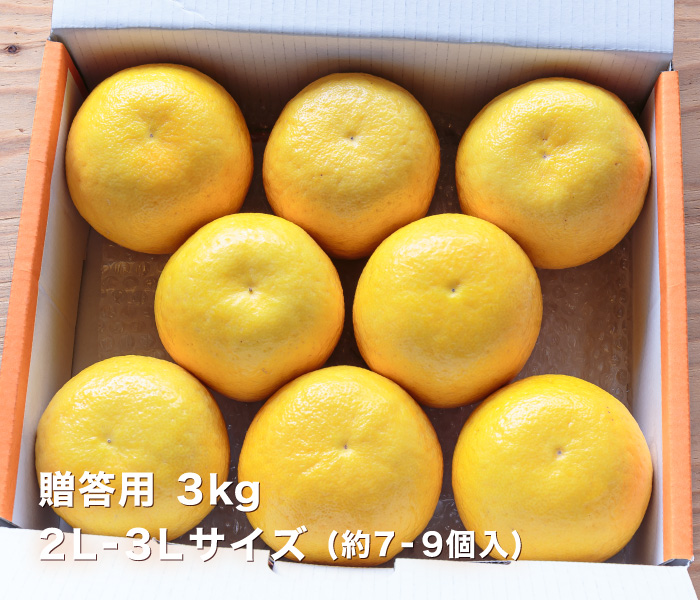 贈答イメージ