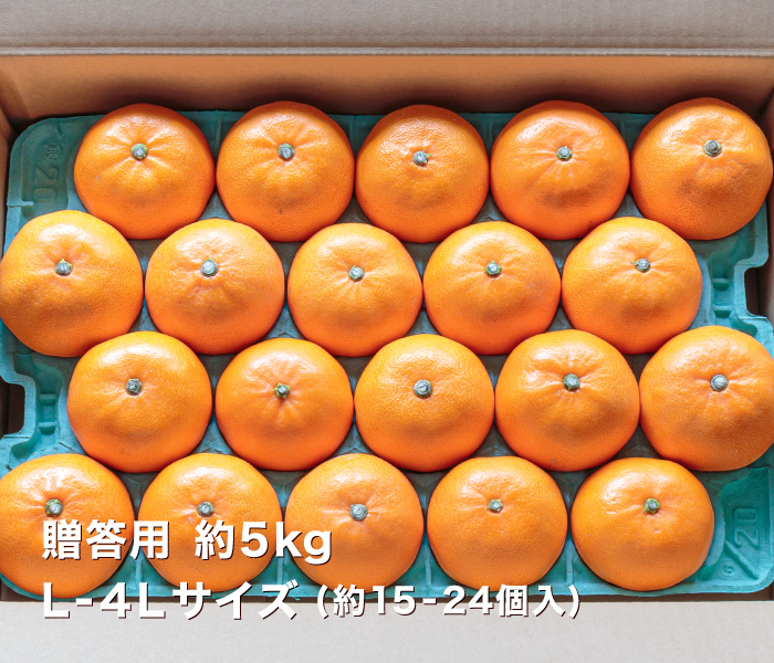 贈答用せとか