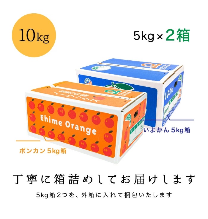 柑橘王国・愛媛県より、ポンカンといよかんのお得な詰め合わせセットを