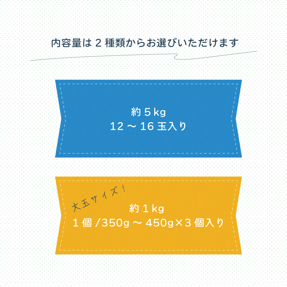 商品ラインナップ