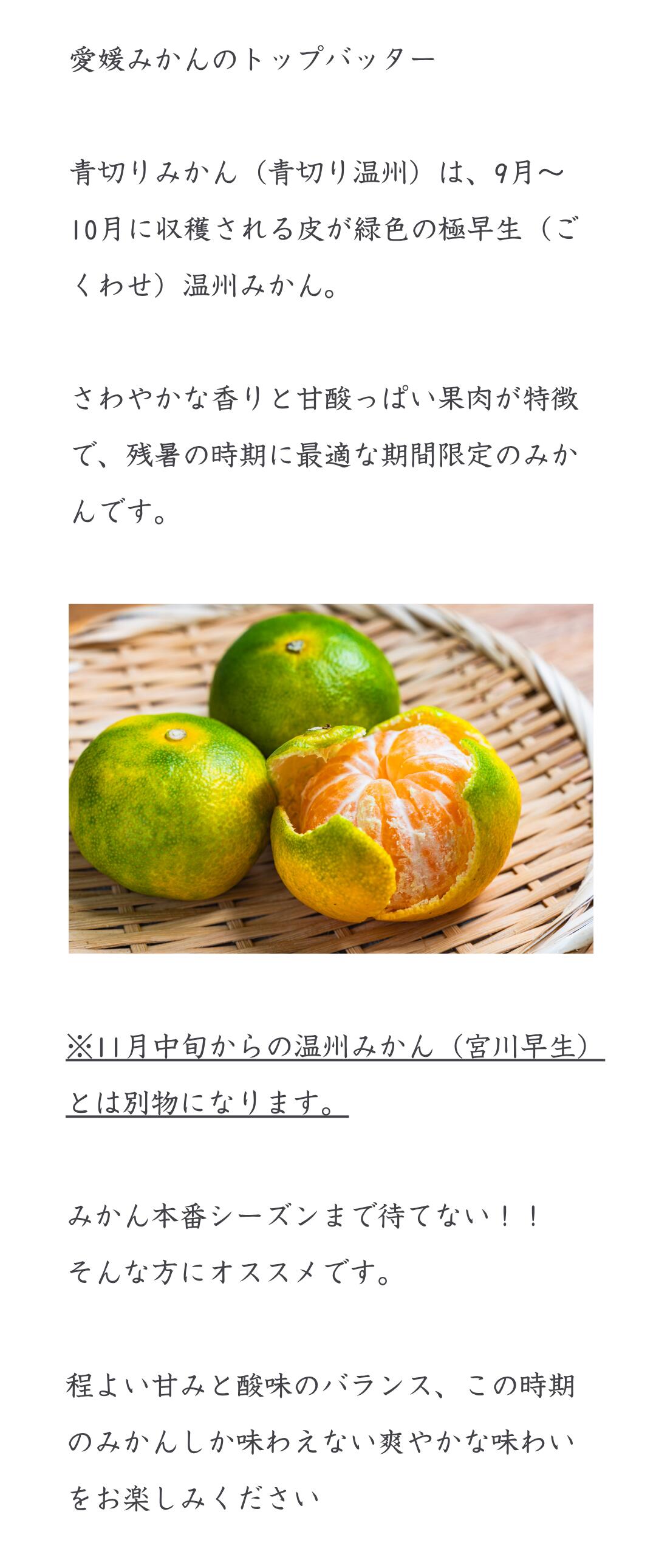 色づく前の青い状態で収穫した愛媛みかん。香りがよく甘酸っぱい味わい