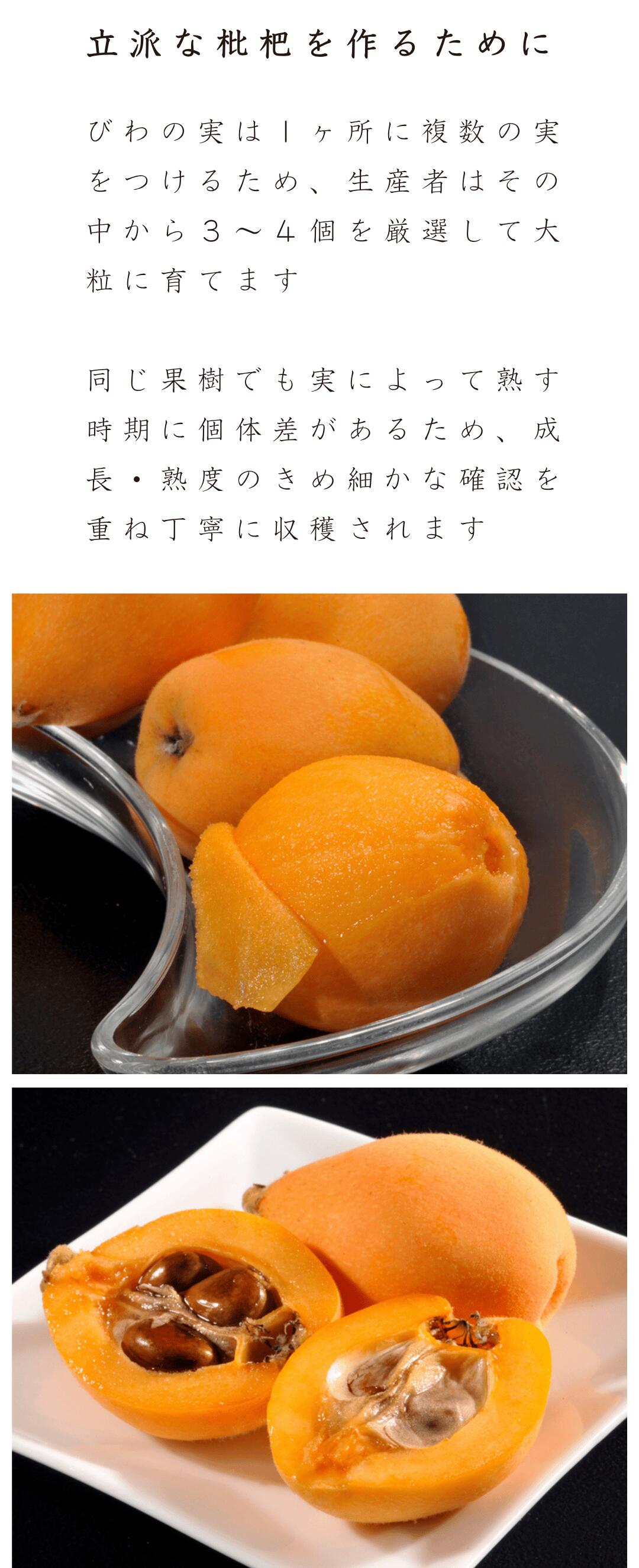 立派なびわを育てるために