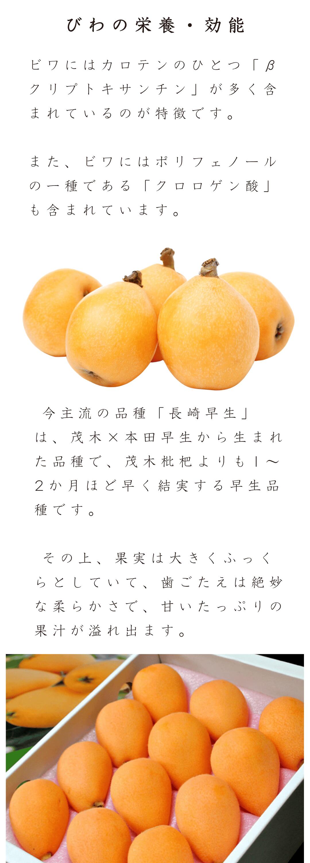 びわの栄養・効能