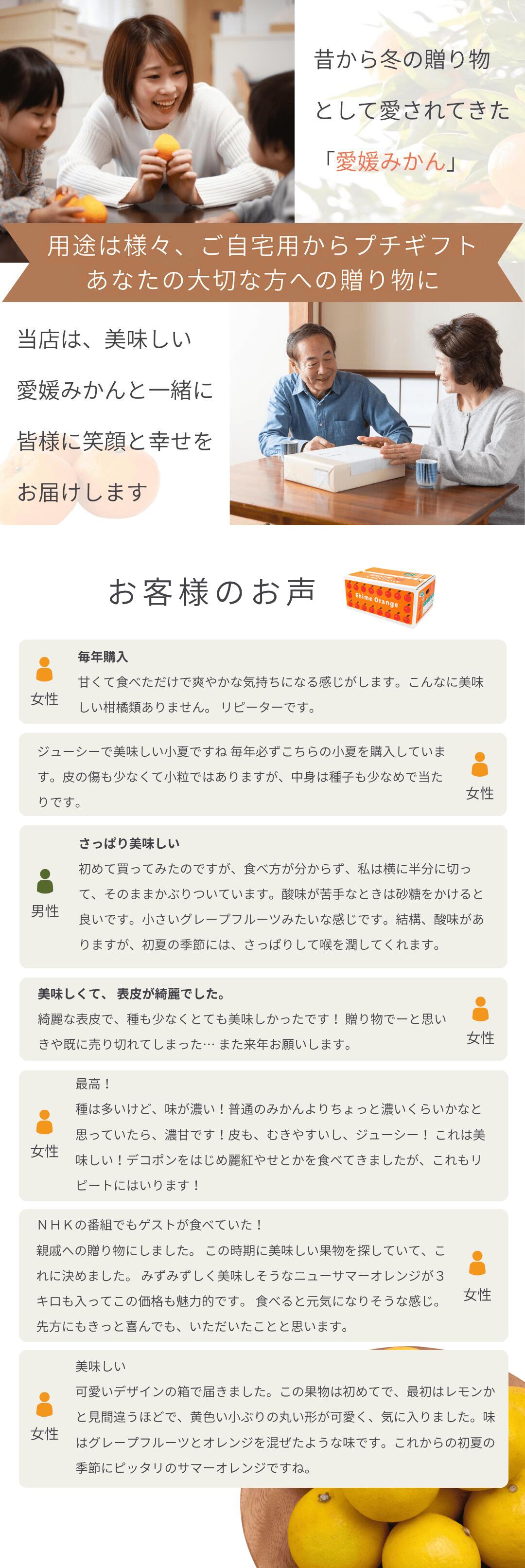 まずは少量から試したい方におすすめ！愛媛西宇和産のニューサマー