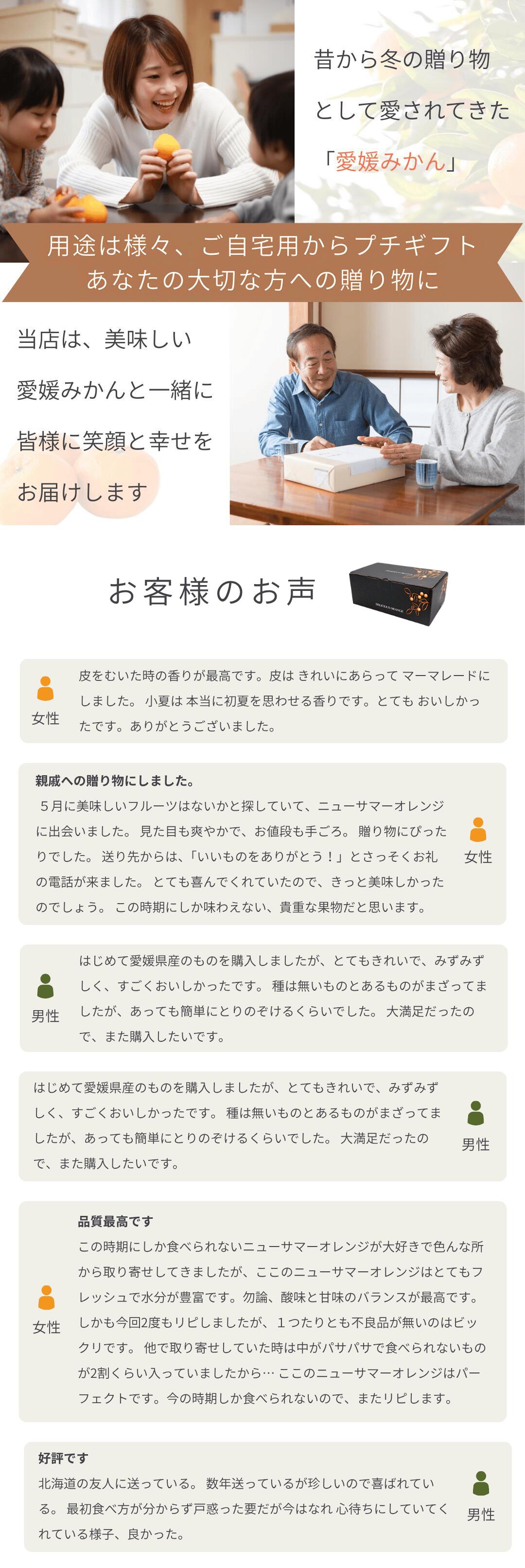 初夏のギフトにおすすめ。愛媛西宇和産より産地直送の贈答用ニュー