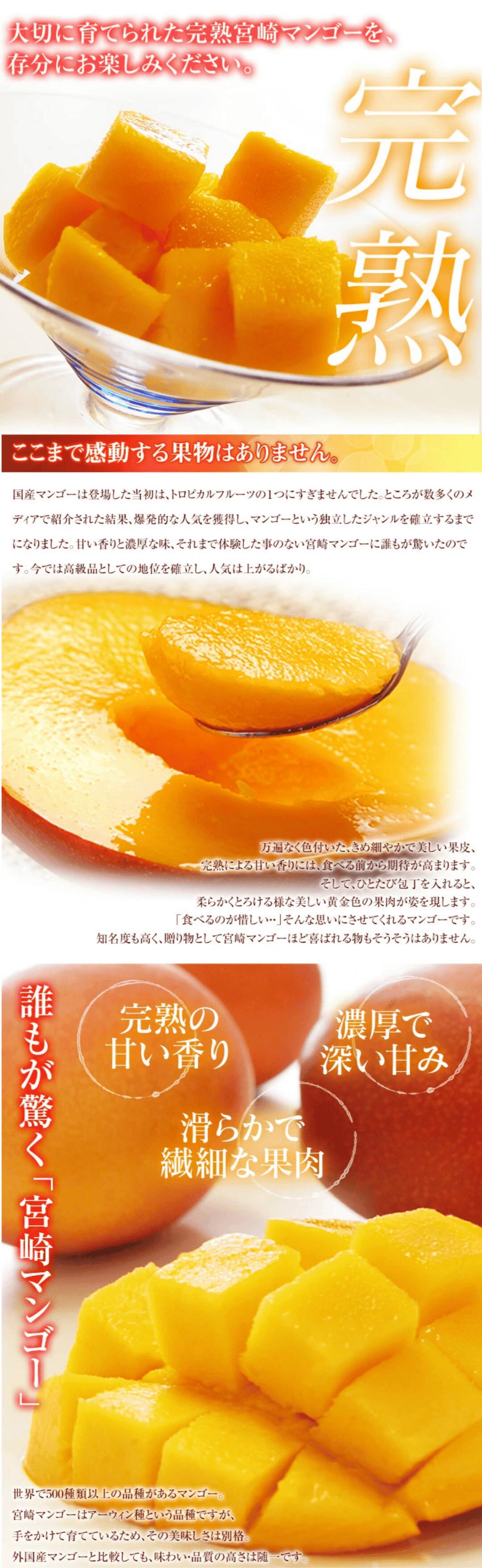 完熟マンゴーの特徴