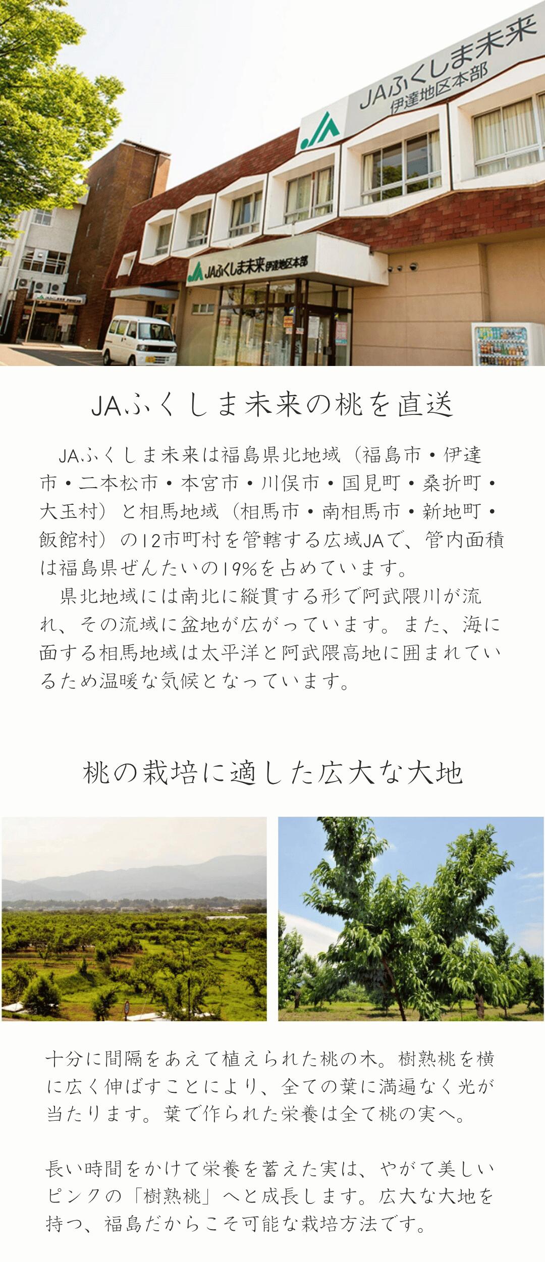 緻密な果肉とたっぷりの果汁