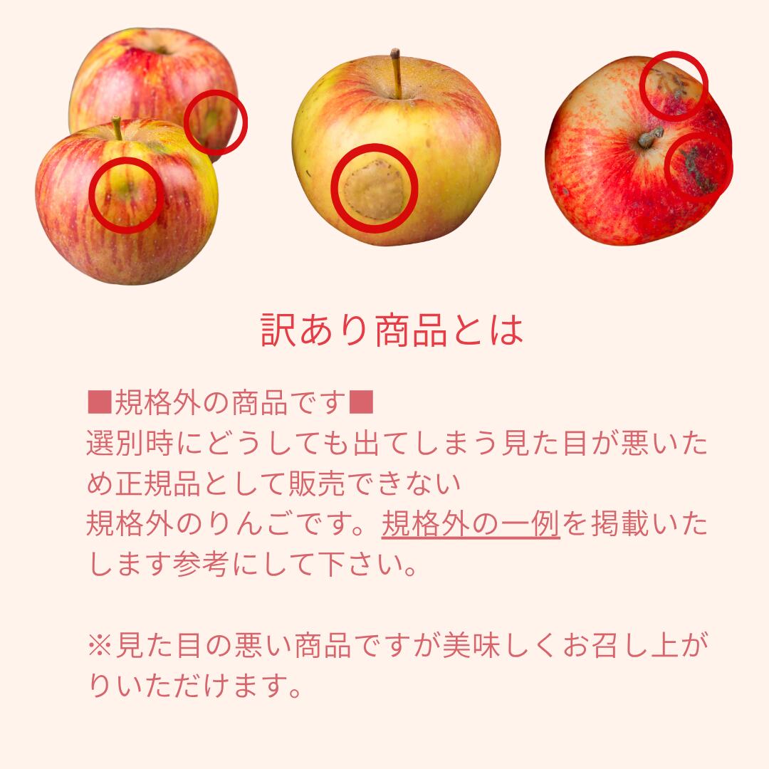 訳あり商品とは見た目が悪く正規品として販売が出来ない規格外の商品です