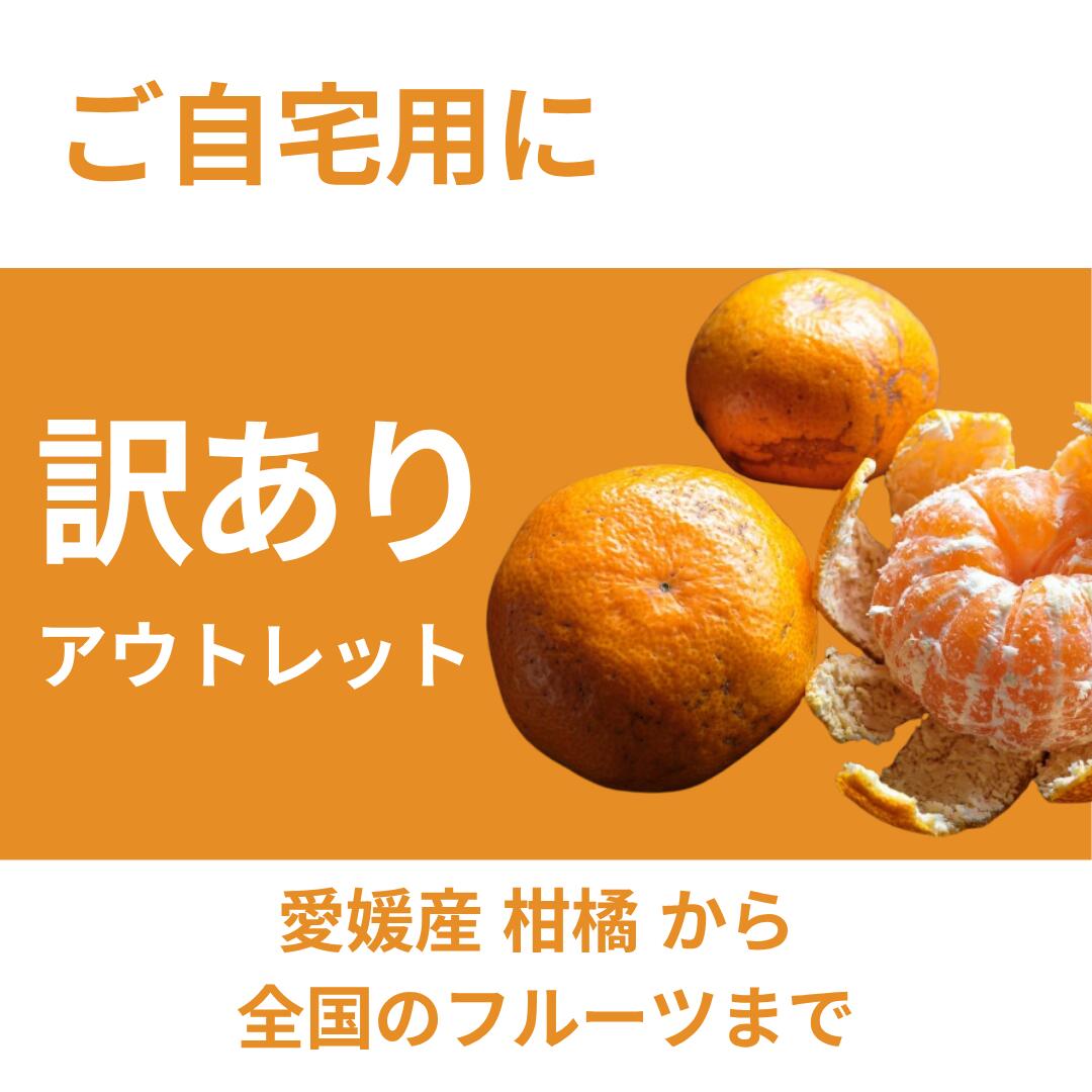 みかん画像