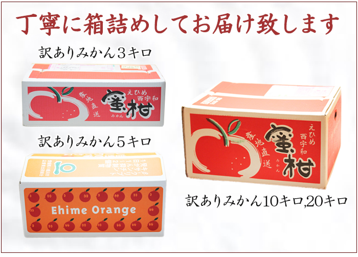 訳ありみかん10 送料無料 訳あり 愛媛西宇和産みかん 訳あり10キロ