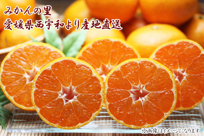 訳ありみかん10 送料無料 訳あり 愛媛西宇和産みかん 訳あり10キロ