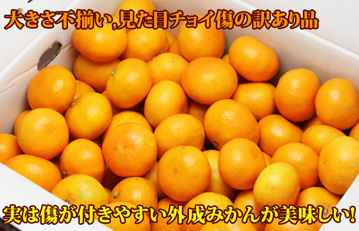 訳ありみかん10 送料無料 訳あり 愛媛西宇和産みかん 訳あり10キロ