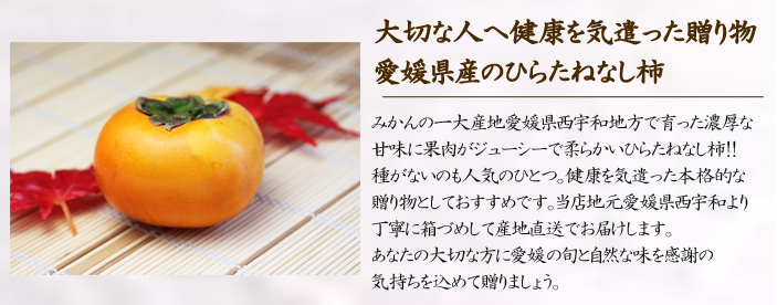 愛媛県産・平核無柿（ひらたねなし柿）は甘くてジューシー・種なしで食べやすい人気の品種！